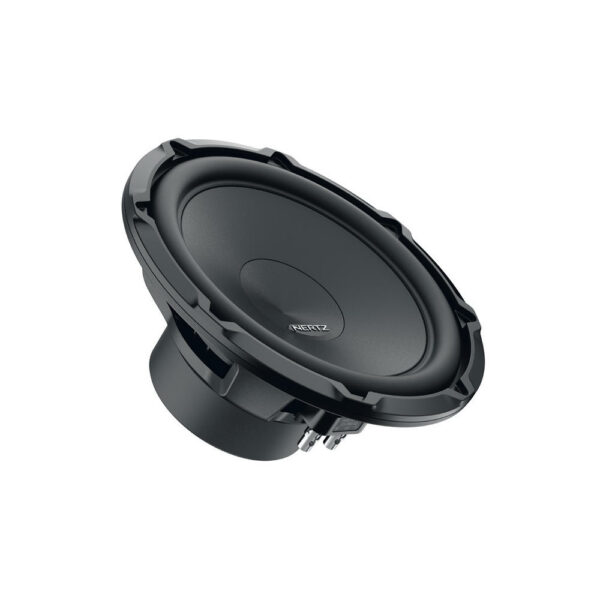 Hertz CS 250 S4 - 10 tum bas