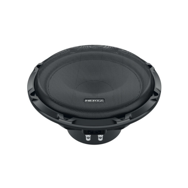 Hertz CS 250 S4 - 10 tum bas - Bild 4