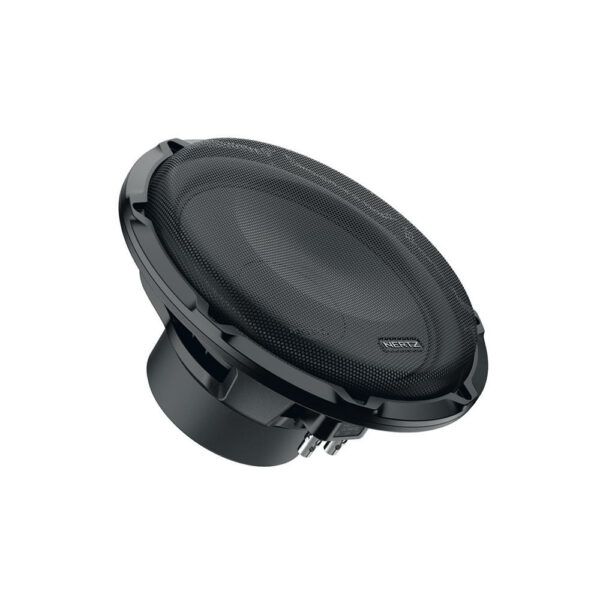 Hertz CS 250 S4 - 10 tum bas - Bild 2